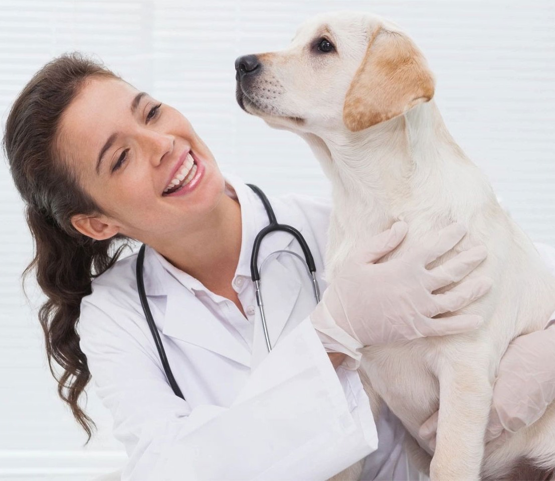 Chalfont Veterinary Clinic